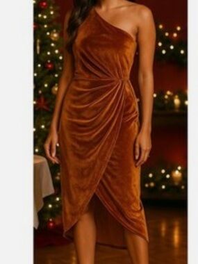 Baltic Born KOURTNEY Dress Velvet One Shoulder Rust Size Small